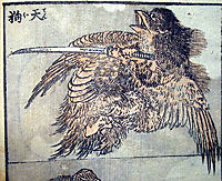 Drawing of a tengu, hokusai
