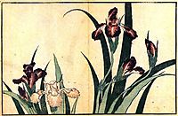 Irises, hokusai