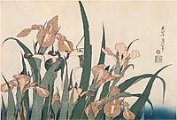 Irises and Grasshopper, hokusai