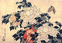 Poenies and butterfly, hokusai