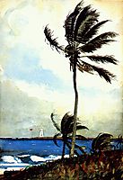 Palm tree, Nassau, 1898, homer