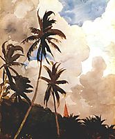 Palm trees (Bahamas), c.1888, homer