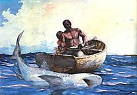 Shark Fishing, 1885, homer