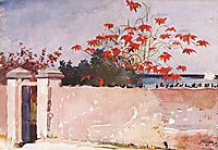 A wall, Nassau, 1898, homer