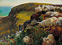 Our English Coasts, 1852, hunt