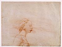 Female bust in profile to right, ingres