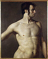 Male torso, c.1800, ingres