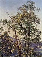 Olive trees, c.1825, ivanov