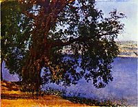 A Tree over Water in the Vicinity of Castel Gandolfo, c.1850, ivanov