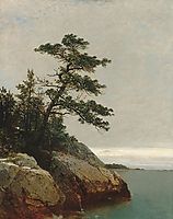 The Old Pine, Darien, Connecticut, 1872, kensett
