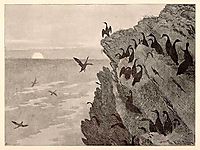 Cormorant, 1891, kittelsen