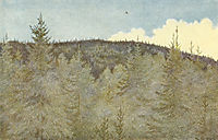 Der Floei En Fugl Over Granehei, 1900, kittelsen