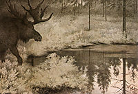 I Came to the Secret Springs and Lakes Where Mooses Slake Their Thurst , 1900, kittelsen
