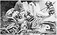 Krigen Mellom Froskene Og Musene 07, 1885, kittelsen
