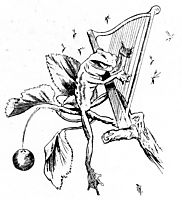 Krigen Mellom Froskene Og Musene 14, 1885, kittelsen