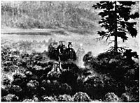 Tussebryllup, kittelsen