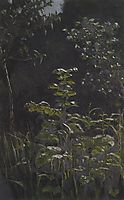 Forest. Burdock , c.1908, kuindzhi