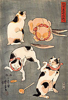 For cats in different poses, kuniyoshi