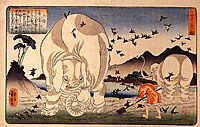 Thaishun with elephants, kuniyoshi