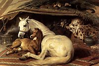 The Arab Tent, 1866, landseer