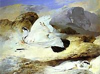 Ptarmigan, 1833, landseer