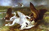 Swannery Invaded by Eagles, 1869, landseer