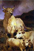 The Wild Cattle of Chillingham, landseer