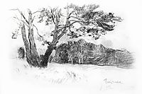 Edge of forest, 1891, levitan