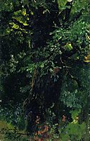 Oak trunk in early summer, levitan