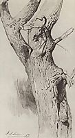 The trunk of an old tree, 1883, levitan