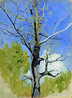 Trunk of burgeoning oak, c.1882, levitan