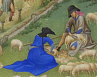 Juillet Sheep Shearing, limbourg