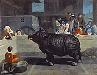 Rhinoceros in Venice, 1751, longhi