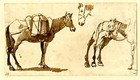 Drawing of mules, including one full length, lorrain