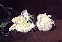 Branch of White Peonies and Secateurs, 1864, manet