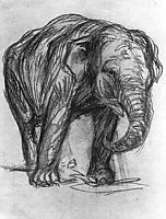 Elephant, marcfrantz