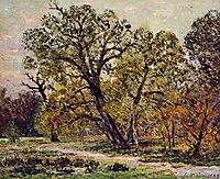 Autumn, 1909, maufra