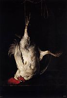 Dead Cock, 1660, metsu