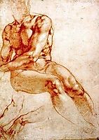 Male Nude Study, michelangelo