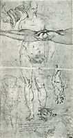 Various studies including a tracing from the other side of the sheet, 1500-1506, michelangelo