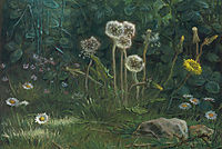 Dandelions, 1868, millet