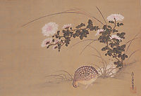 Quail and Chrysanthemums, mitsuoki