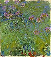 Agapanthus Flowers, 1917, monet