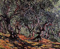 Olive Trees in Bordigher, 1884, monet