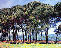 Pine Trees, Cap d-Antibes, 1888, monet