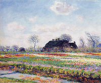 Tulip Fields at Sassenheim, near Leiden, 1886, monet