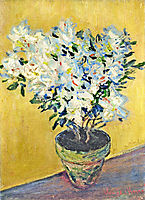 White Azaleas in a Pot, 1885, monet