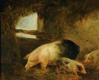 Pigs in a Sty, morland