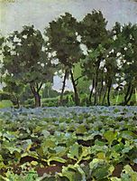 Cabbage Field with Willows, c.1893, musatov