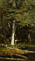 In the Forest, nittis
